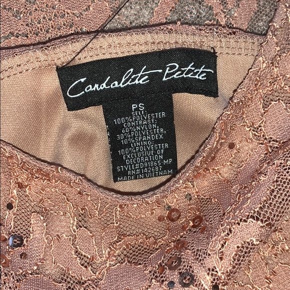 Candalite Petite lace sequin Long Pink Dress - Picture 7 of 8